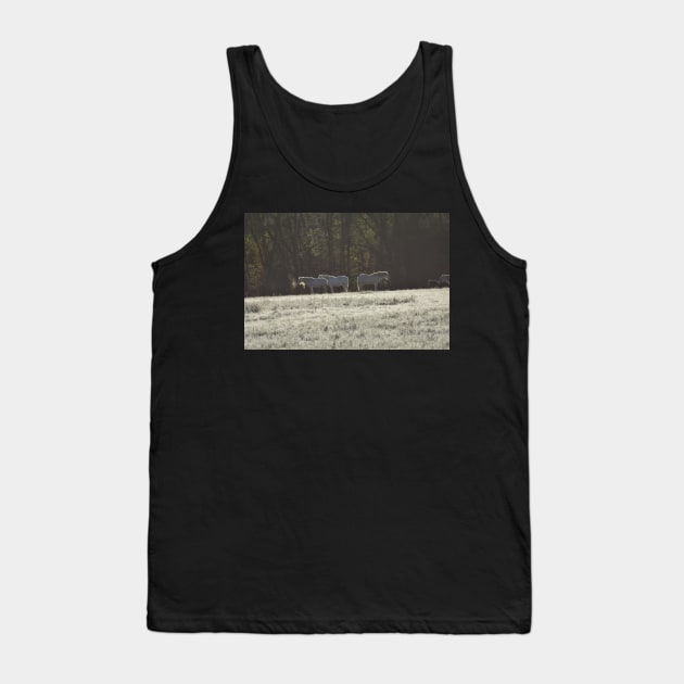 Wild Horses in Winter Tank Top by MarieDarcy